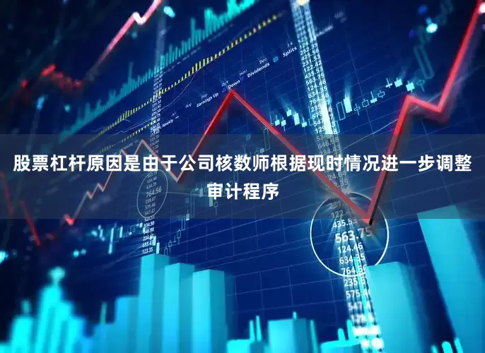 股票杠杆原因是由于公司核数师根据现时情况进一步调整审计程序