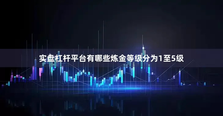 实盘杠杆平台有哪些炼金等级分为1至5级