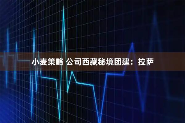 小麦策略 公司西藏秘境团建:拉萨